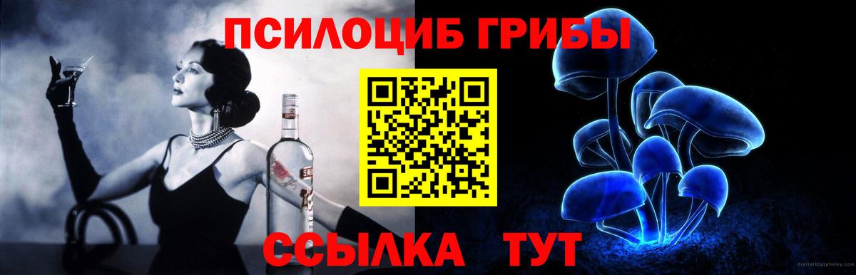 Зима  Галлюциногенные грибы прущие грибы  Вход с VPN 